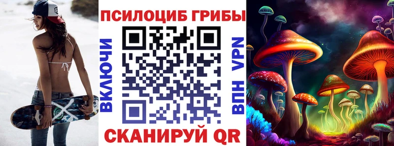 где продают наркотики  Мамадыш  Псилоцибиновые грибы Psilocybine cubensis 
